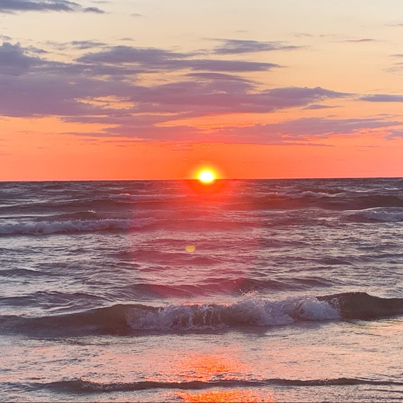 Meet your Posher, Gracie - Picture 1 of 1